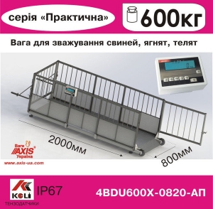 Весы для свиней 4BDU600Х-0820-П Практический