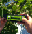 Портативний вимірювач хлорофілу atLEAF CHL PLUS (N-тестер) використання на листі
