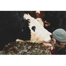 Контроль качества зерна частными фермерами - залог успешного будущего